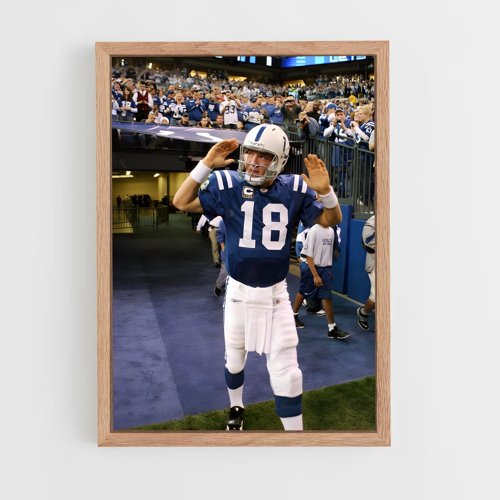 Poster L'Ascension de Peyton (vue 4)